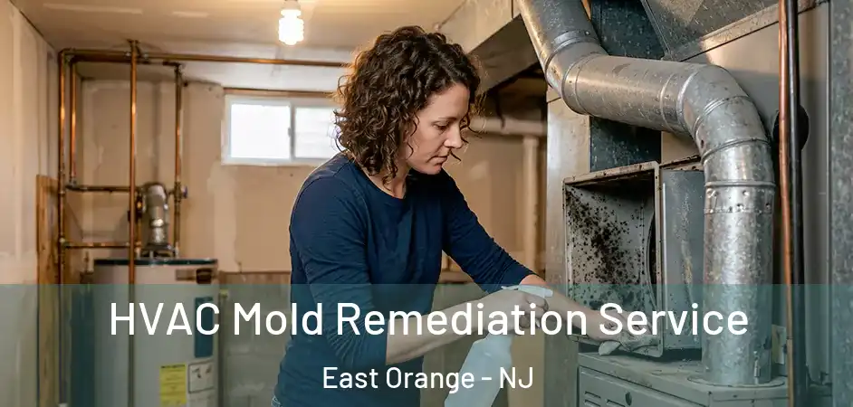  HVAC Mold Remediation Service East Orange - NJ