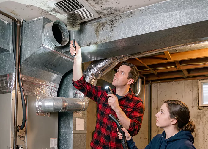 Premier HVAC Mold Remediation Company in East Orange